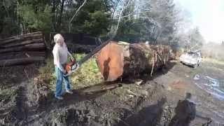 Cutting a big log in half