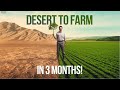 Turning Desert Sand Into Fertile Farmland: The 3-Month Transformation!