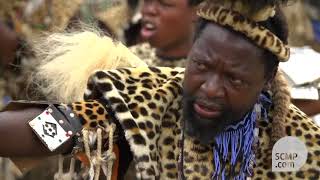 Zulu worshippers don fake fur to save South African leopards