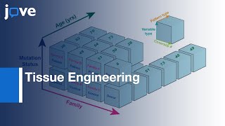 Databases To Efficiently Manage Medium Sized, Low Velocity, Multidimensional Data l Protocol Preview