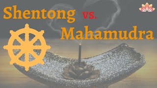 【Jonang Dharma Volunteers】Shentong (Other-Emptiness) vs. Mahamudra (Great Seal)