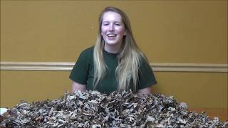 Nature Notes: What's Up With Leaf Litter?
