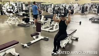 Seated Arnold Press