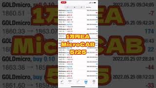 【自動売買】FXで1万円運用！月利100%おすすめ無料ツールの実績！『MicroCAB』#shorts