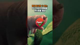 지구상 최강의 동물, 절대파괴 할 수없는 생명체, 완보동물 물곰 Factocheck #shorts