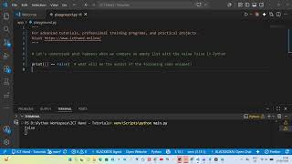 Python basics - Empty list and boolean False