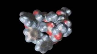 Paclitaxel (Taxol) molecule