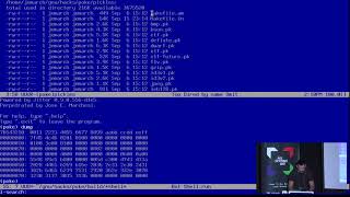 GNU poke, an extensible editor for structured binary data
