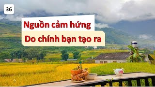 36. Cảm hứng đến từ đâu? | Tam Anh-255b