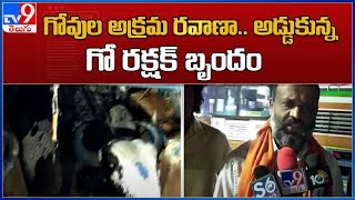 Patancheru : లారీలో గోవుల అక్రమ రవాణ..  అడ్డుకున్న గో రక్షక్ బృందం - TV9