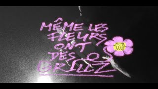 Muska Yuga - Même les fleurs ont des grillz (clip officiel)