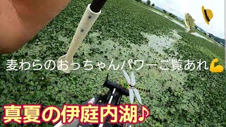 伊庭内湖♪ヒシモの中に潜むバスを釣る！