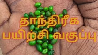 தாந்திரீக பயிற்சி வகுப்பு