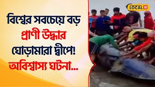 Bangla News | নতুন বছরের প্রথমেই তিমি মাছ দেখা গেল ঘোড়ামারা দ্বীপে! Sea Whale #Local18