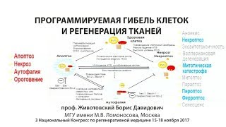 Программируемая гибель клеток и регенерация тканей