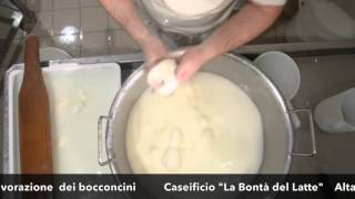 Lavorazione dei bocconcini - Caseificio \