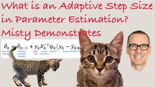 What is an Adaptive Step Size in Parameter Estimation?