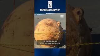 일본에 또 다시 등장한 에도시대 UFO