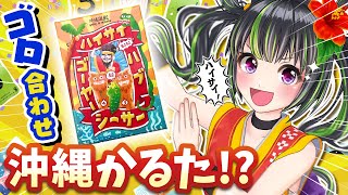 【ボードゲーム】ゴロ合わせ沖縄かるた「ハイサイゴーヤーハブシーサー」をやってみた！！