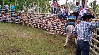 Jaripeo ranchero celebrado en Tancoban Ixc  Ver 2019