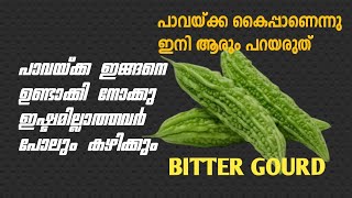 ഈ ചേരുവകൂടി ചേർത്ത് പാവയ്ക്കാ ഉണ്ടാക്കിയാൽ ഒട്ടും കൈപ്പുണ്ടാവില്ല How to make Bitter gourd thoran