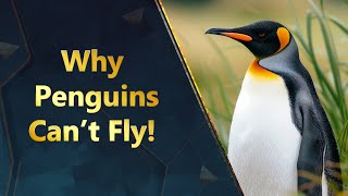 Why Penguins Can’t Fly!