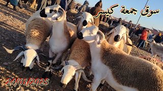 مباشرة من سوق جمعة كيسر اقليم سطات مع اتمنة حولى بتاريخ 24/01/2025 🐏🐑