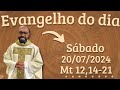 EVANGELHO DO DIA –20/07/2024 - HOMILIA DIÁRIA – LITURGIA DE HOJE - EVANGELHO DE HOJE -PADRE GUSTAVO