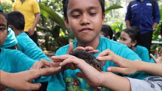 Kegiatan Pengenalan Lingkungan (Pengling) Kelas 4-6 SD Laboratorium UPI Cibiru 2017