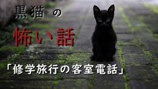 【怖い話】【朗読】【黒猫の怖い話】「修学旅行の客室電話」　投稿者　佐木乃様　奇々怪々より