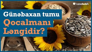 Günəbaxan tumu haqqında faydalı məlumatlar | Cavabdeh