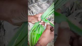 How to make || palm leef Things || thati aku rekha