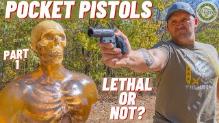 How Lethal Are Pocket Pistols ??? (Part 1)