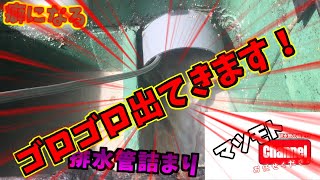 【観覧注意】排水管が油で詰まりかけていました！高圧洗浄ですっきりさっぱりしました！[排水管高圧洗浄]【癖になる】