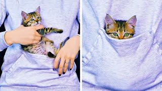 ペットの飼い主のためのちょっとしたおもしろアイディア　犬や猫のためのすごいライフハック