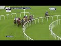 ( PROTEKTORAT)(G1)Ryanair Chase 3 Race Cheltenham 14 Mar 2024