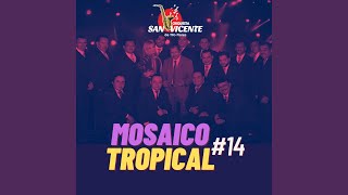 Mosaico Tropical 14