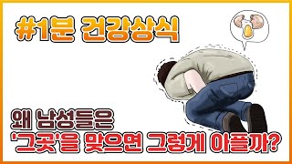 [1분 건강 상식] 왜 남자들은 '그곳'을 맞으면 그렇게 아파할까?