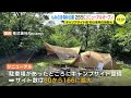 「もみのき森林公園」キャンプサイトが大幅増　26日リニューアルオープン　初心者用の施設も