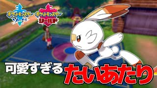 ヒバニーのたいあたりが可愛すぎる #Shorts【ポケモン剣盾 ポケセン禁止縛り】