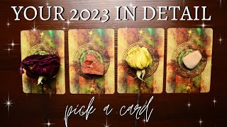 Your 2023 in Detail ✨Pick A Card