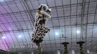 騰義體育會 Singapore Teng Ghee Athletic Association - High Pole