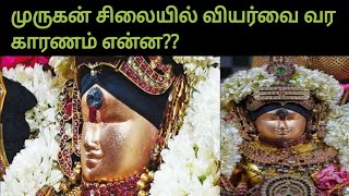 முருகன் சிலையில் வியர்வை வர காரணம் என்ன