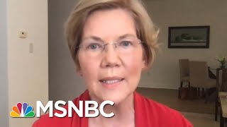 Sen. Warren: Americans Suffering From Lack Of Federal Leadership | Rachel Maddow | MSNBC