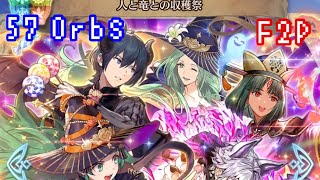 FEH 超英雄召喚 人と竜の収穫祭 ガチャ オーブ57個使った結果… Special Heroes Shared Bounty summoning F2P 57 Orbs