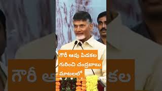 సంక్రాంతి గౌరీ ఆవు పిడకల గురించి చంద్రబాబు గారి మాటలలో#namasthe#ap#news