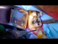 Atraumatic Extraction and Ridge Preservation Tooth #46 - Part 1 of 2 - External Resorption Case