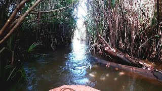 The Beauty Of Nature - Upstream in Borneo, Sarawak || Relaxing video ||