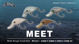 NORIES TROUT / MEET