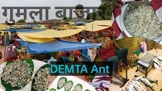 Exploring GUMLA BAZAAR //   DEMTAA /chapdi // fish Market